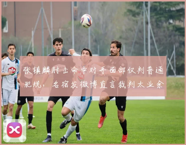 张镇麟肘击命中对手面部仅判普通犯规，名宿发微博直言裁判太业余